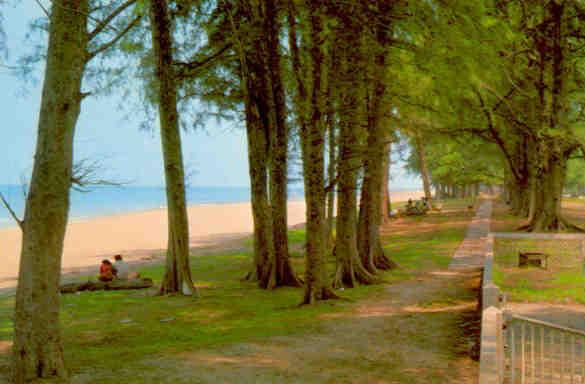 Trengganu, beach