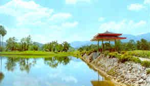 Taiping Lake, Perak