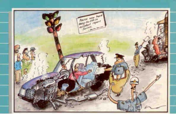 Cartoonist Lat, accident report