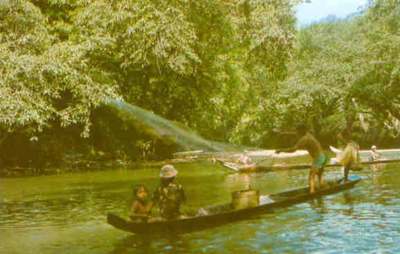 Sarawak, Sea Dayaks are excellent rowers