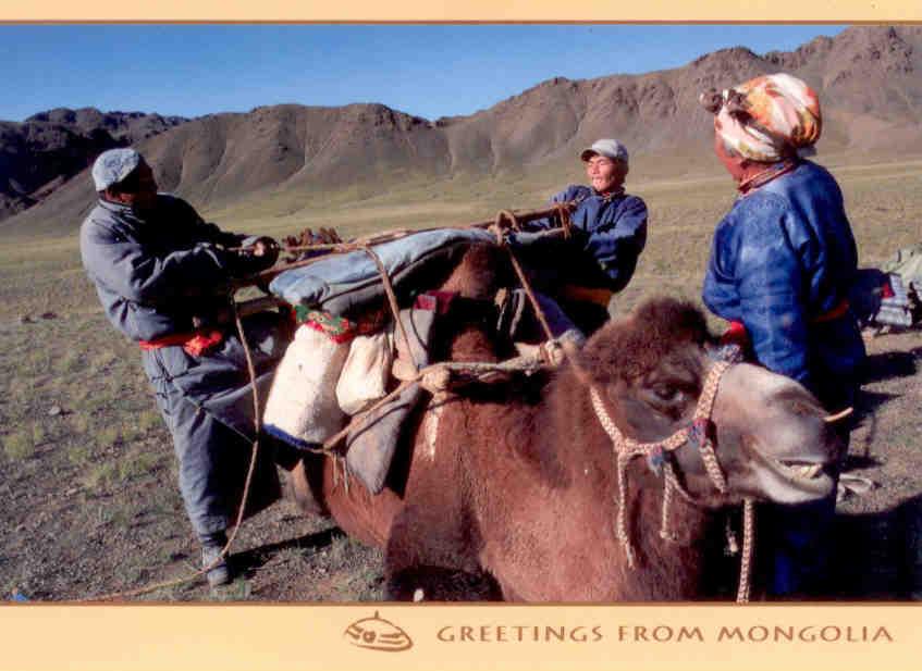 Greetings from Mongolia, camels carry the houseware