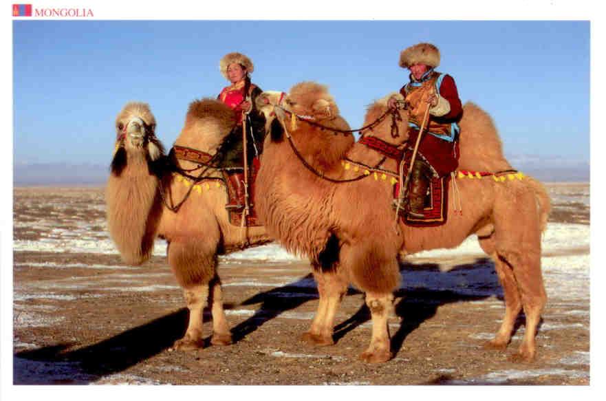 Greatings (sic) from Mongolia – Camel herders