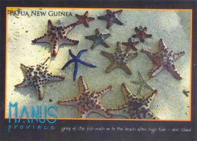 Manus Province, Ahus Island, group of starfish