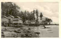 Malay houses, sea shore