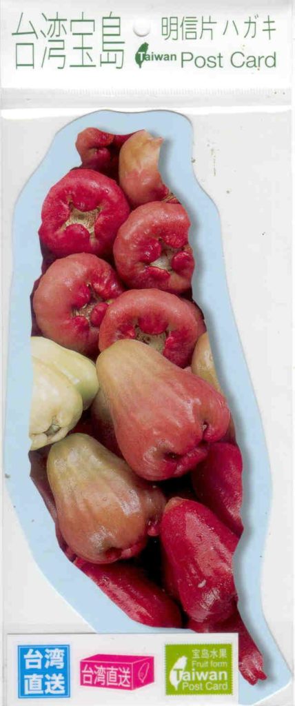 Fruit from Taiwan, Bell Fruit, Wax Apple