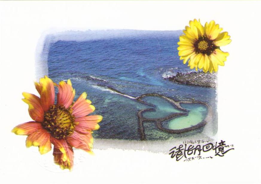 Penghu Islands, flowers