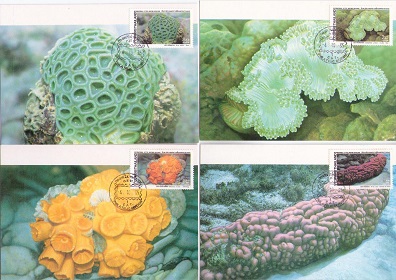 Coral (Maximum Cards) (set of 4)