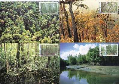 Royal Forest Department (Maximum Cards) (set of 4)