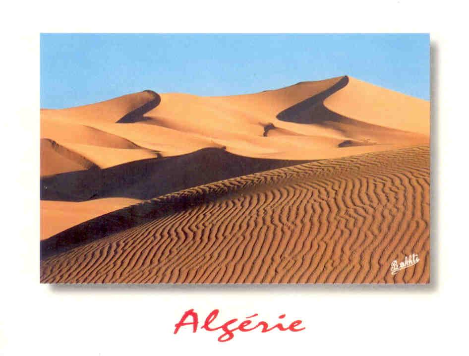Paysage du Sahara