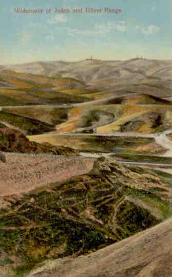 Widerness (sic) of Judea and Olivet Range