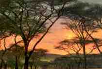 Tropical sunset (Kenya)