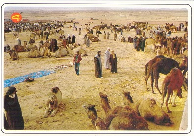 Souk des chameaux