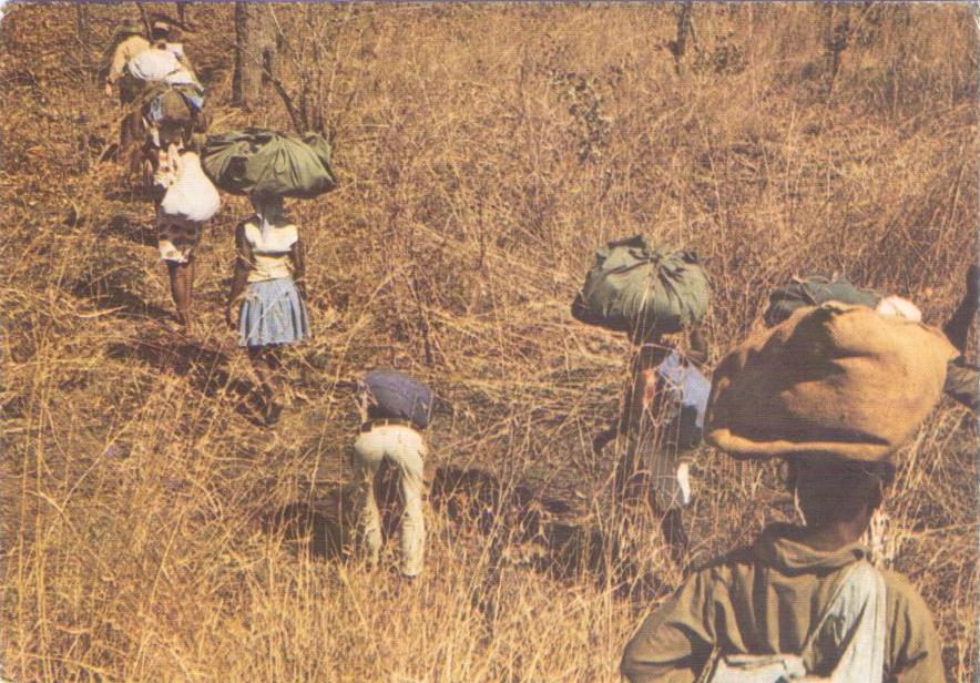 Luta Armada de Libertacao Nacional/Frelimo – trekking