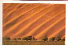 Dune curtain