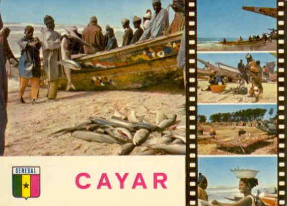 Cayar