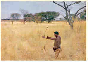Bushman hunter