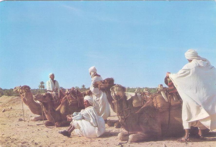 Nefta, Camel – divers (sic)