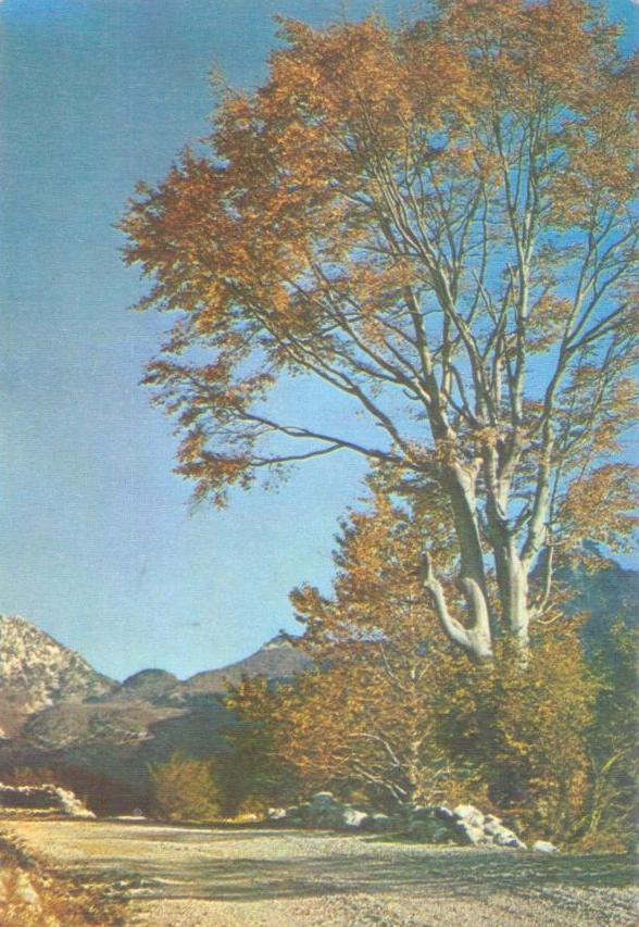 Scenery in the Albanian Alps