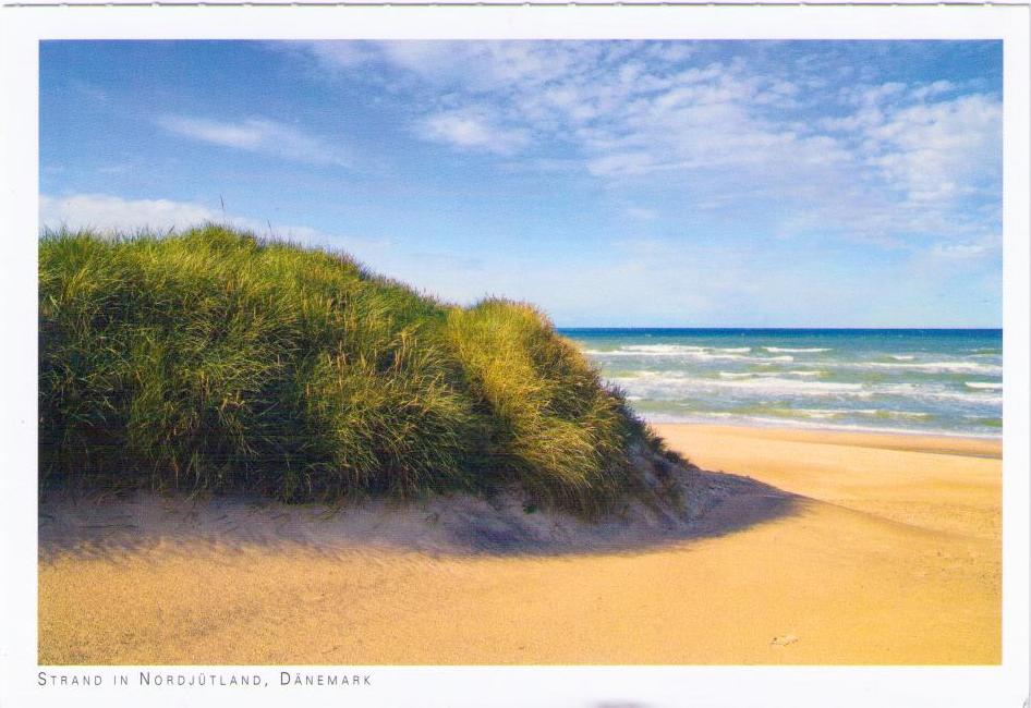 Beach in North Jutland