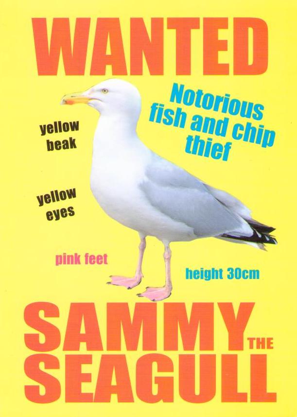 Sammy the Seagull
