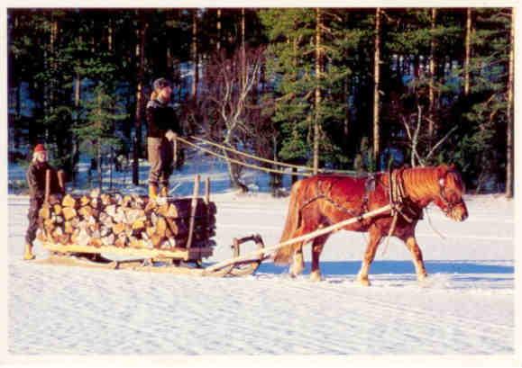 Suomenhevonen (Finnish Horse)