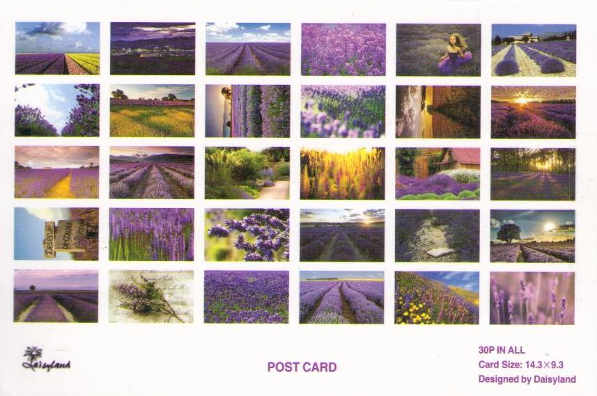 Provence, Lavender (set) – back cover