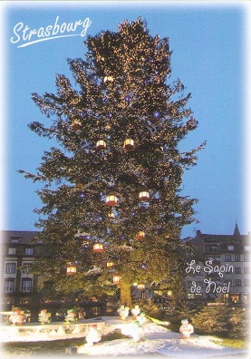 Strasbourg, Marche de Noel, Le sapin