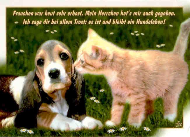 Frauchen war …