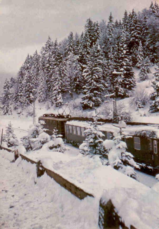 Train in winter