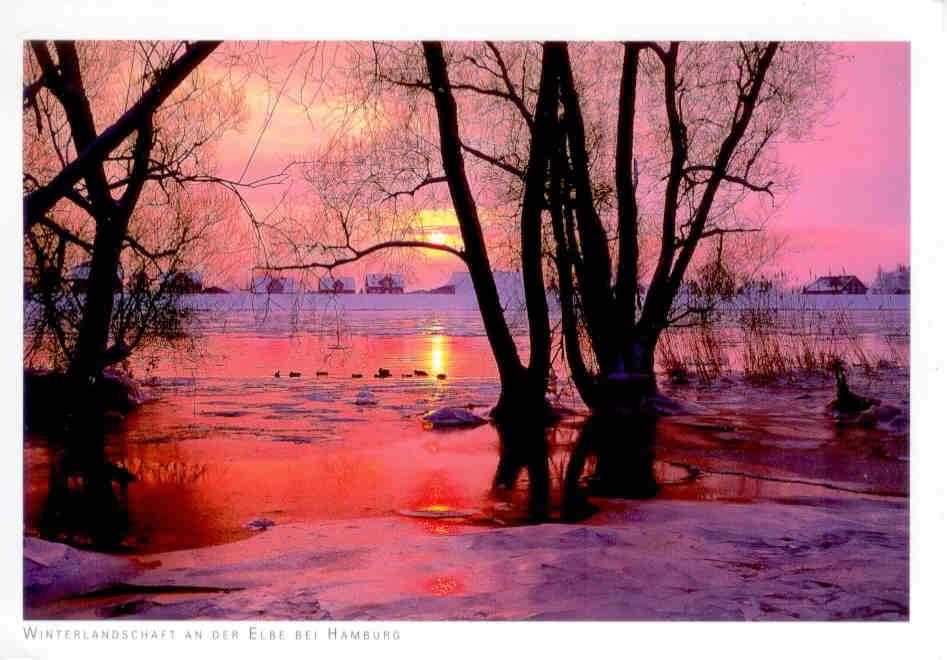 Winter Landscape along the Elbe near Hamburg