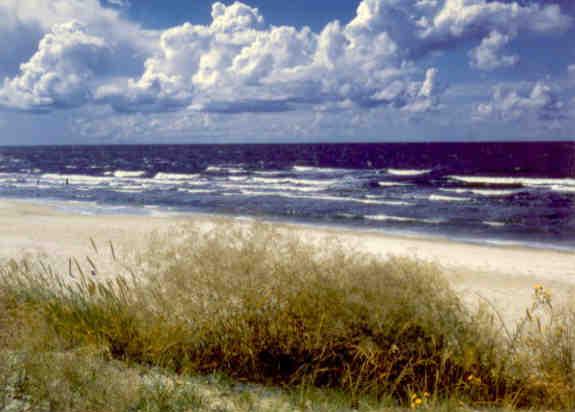 Palanga, The Baltic Sea