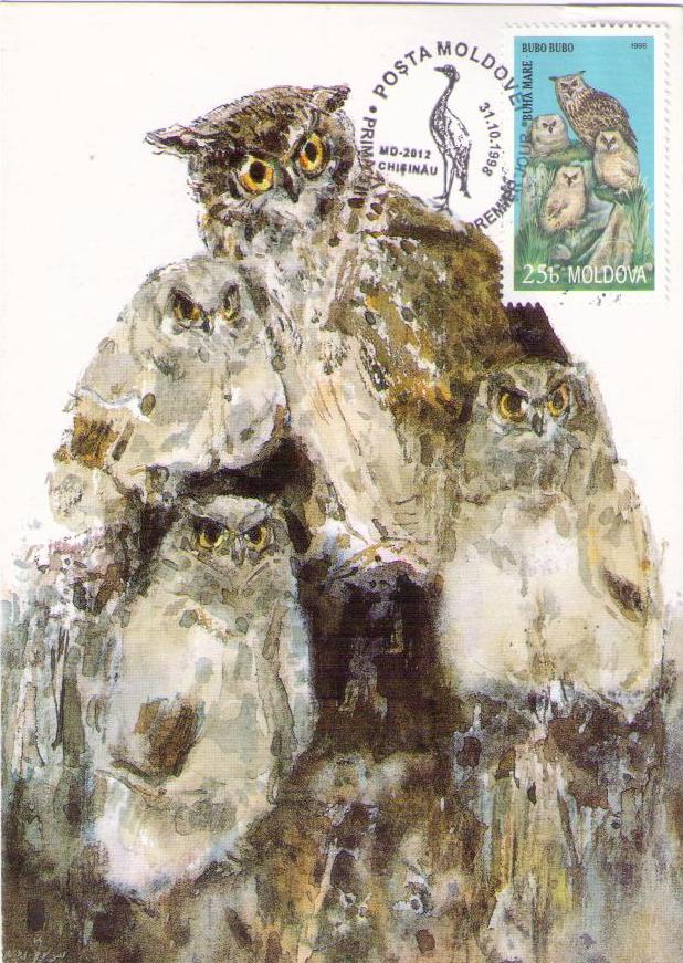 Owl (Maximum Card)