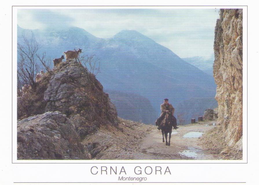 Crna Gora (Montenegro), rider