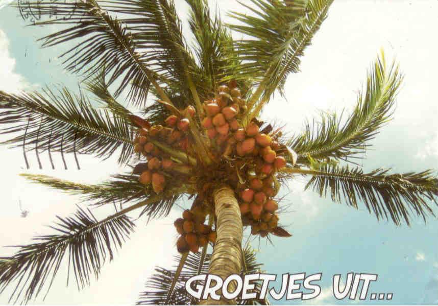 Groetjes uit … (Greetings from …)
