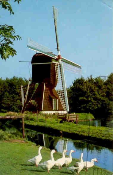 Haarlem, Hollow-post drainage mill