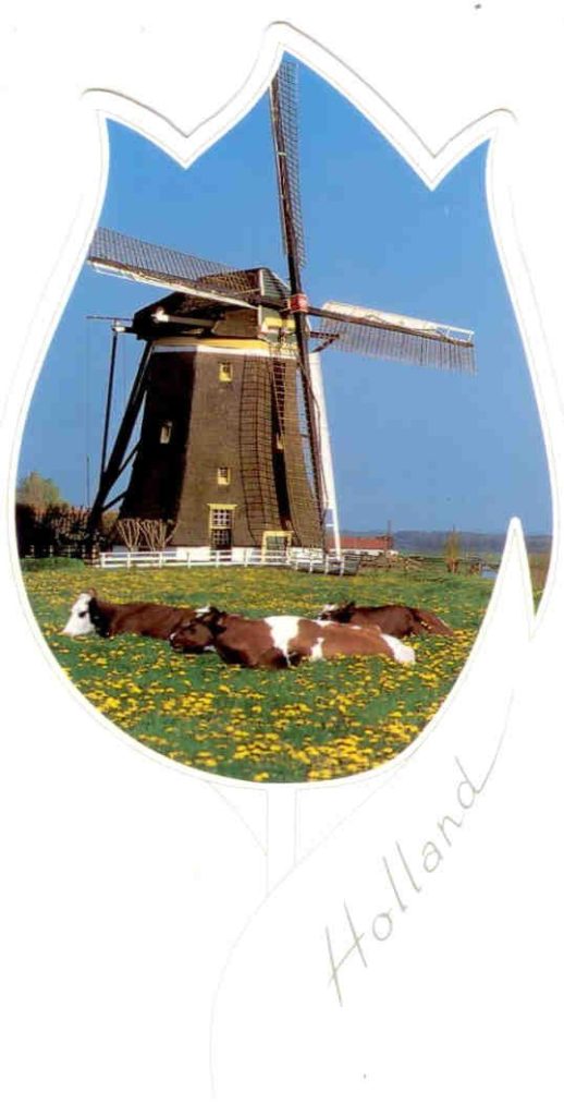 Holland, windmill (in flower shape)