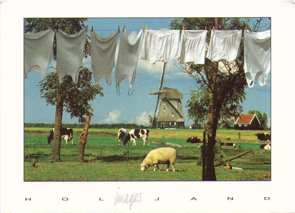 Rural scene, with washing