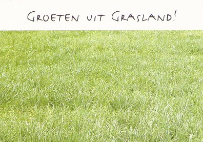 Groeten uit Grasland!