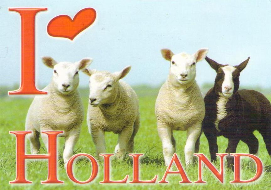 I (heart) Holland