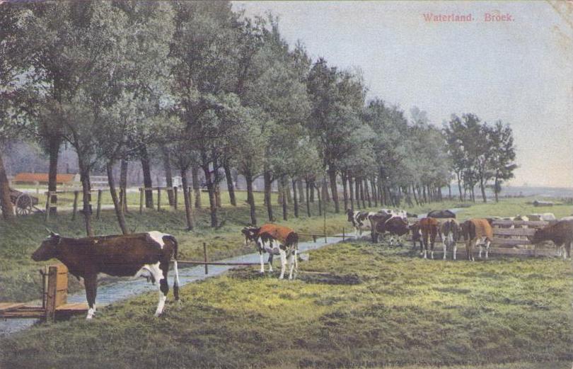 Waterland, Broek