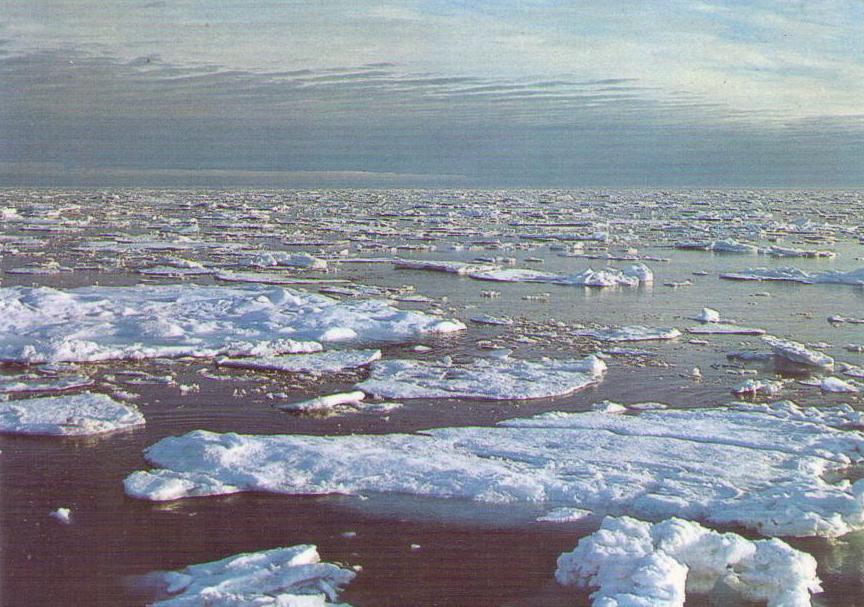 Spitzbergen, Pack-ice on 80 N. lat.