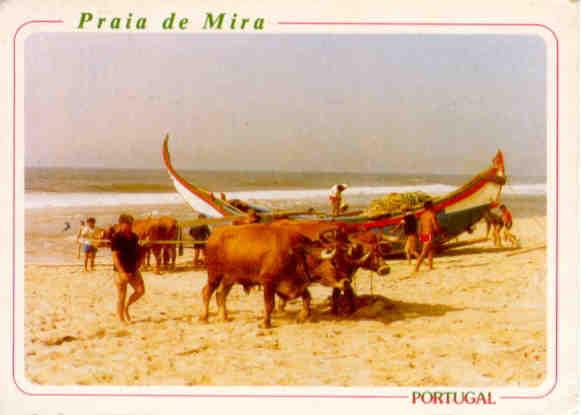 Praia de Mira, Return from the sea