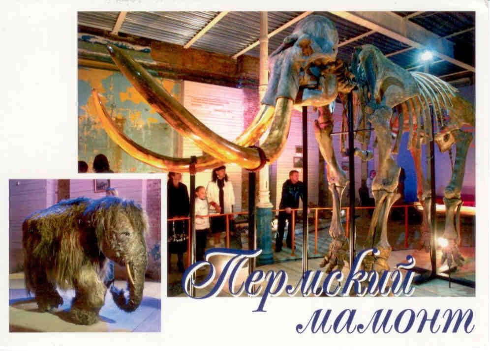 Perm, Kraevoi Museum, Mammoth