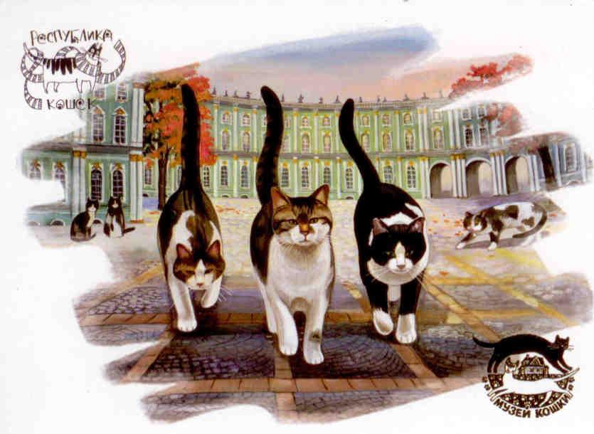 St. Petersburg, Hermitage cats