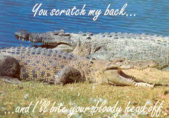 You scratch my back …