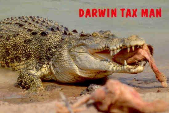Darwin Tax Man