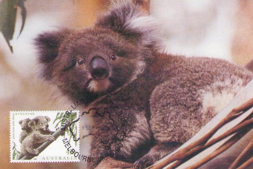 Koala (Maximum Card) (joint issue)