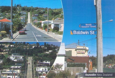 Dunedin, Baldwin St., World’s Steepest Street