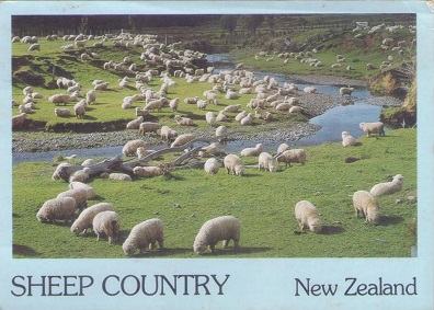 Sheep Country