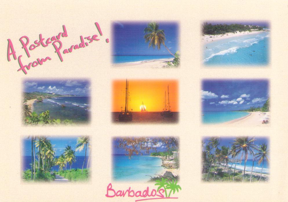 A Postcard from Paradise!